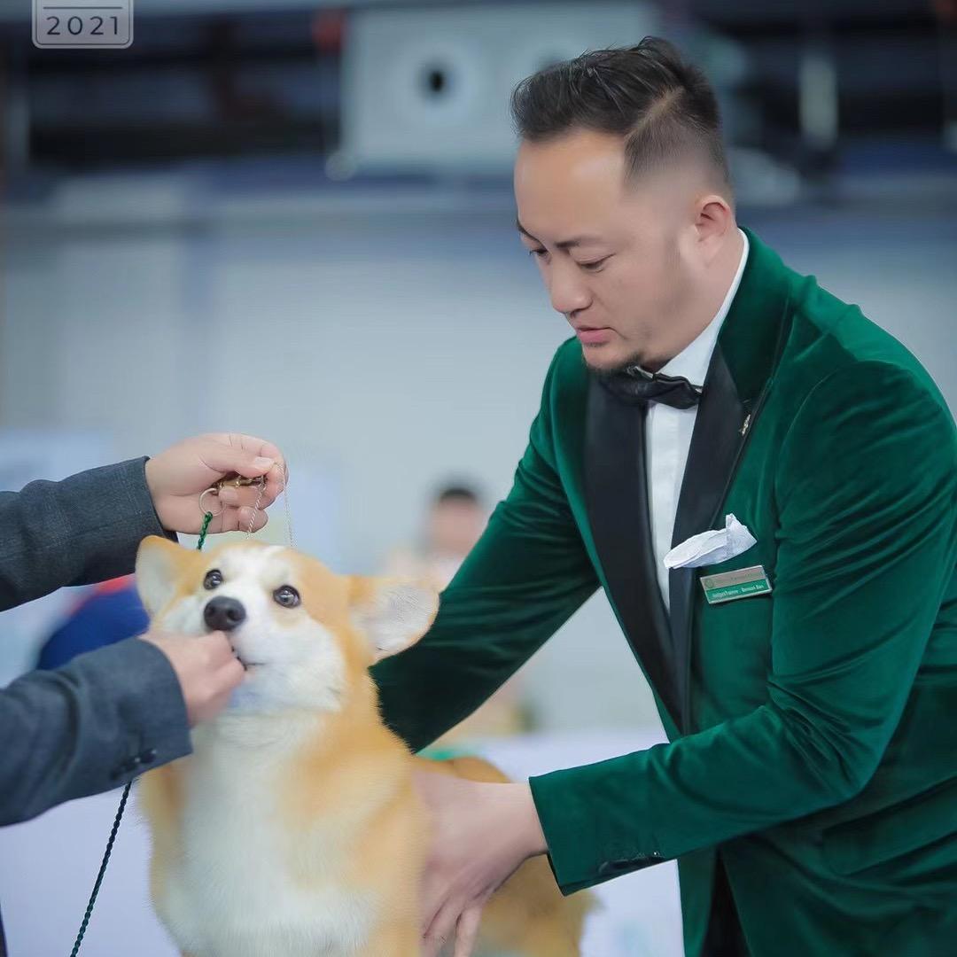 狼叔犬道