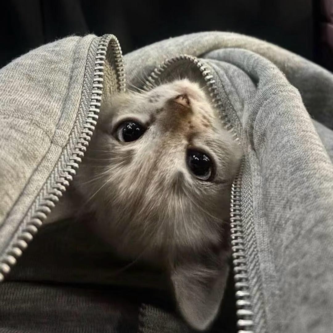 此号已废废废废