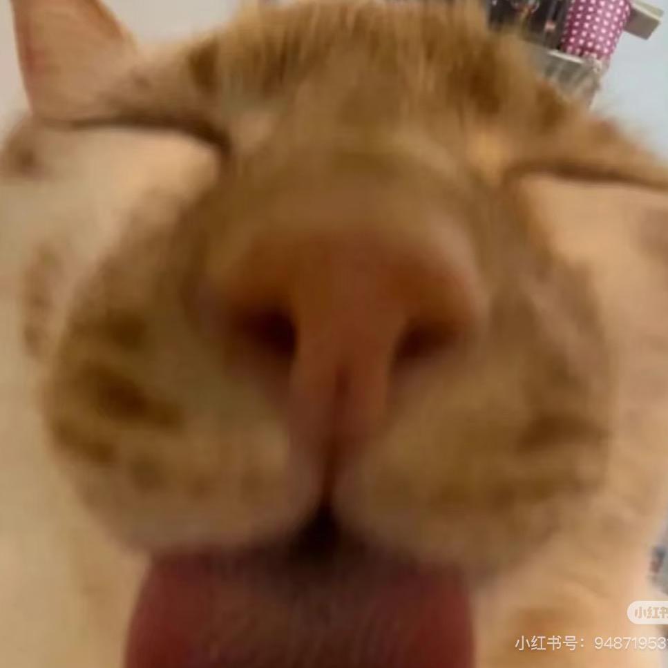 拜托谁在意你