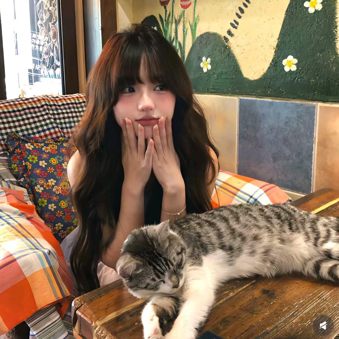 童话玩具总动员 💜