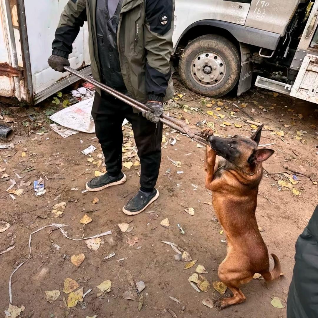 专业套狗吴师傅