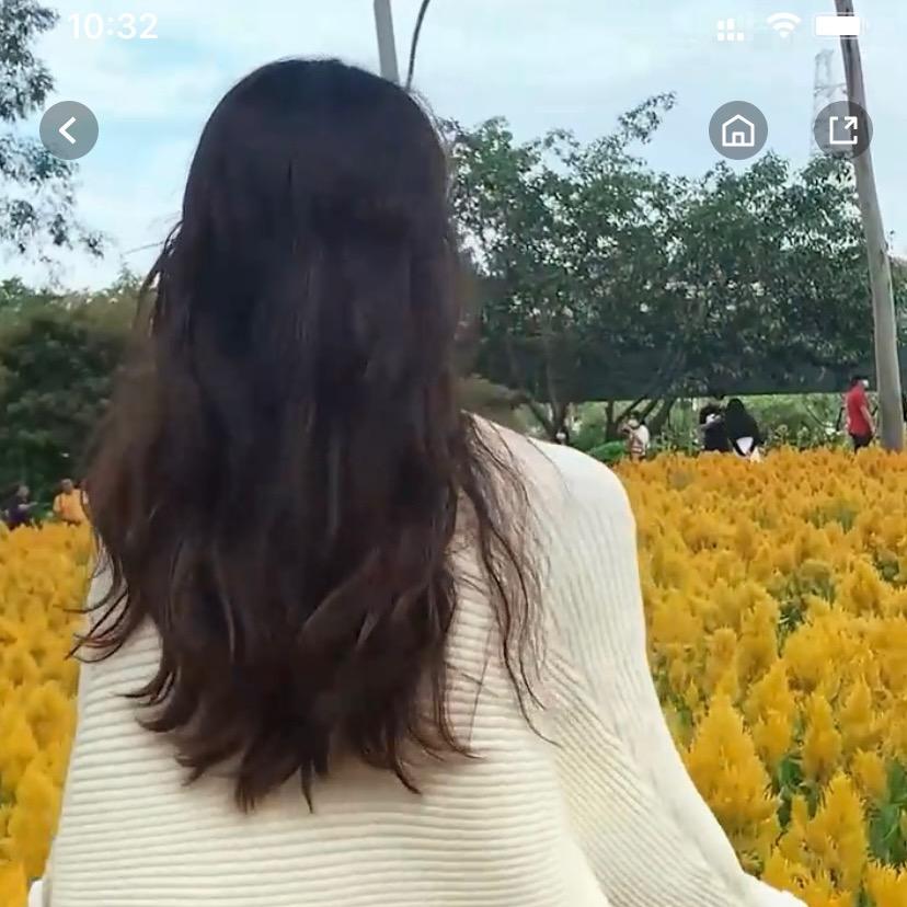 💞茉🍀莉🪢花🪸开🪷