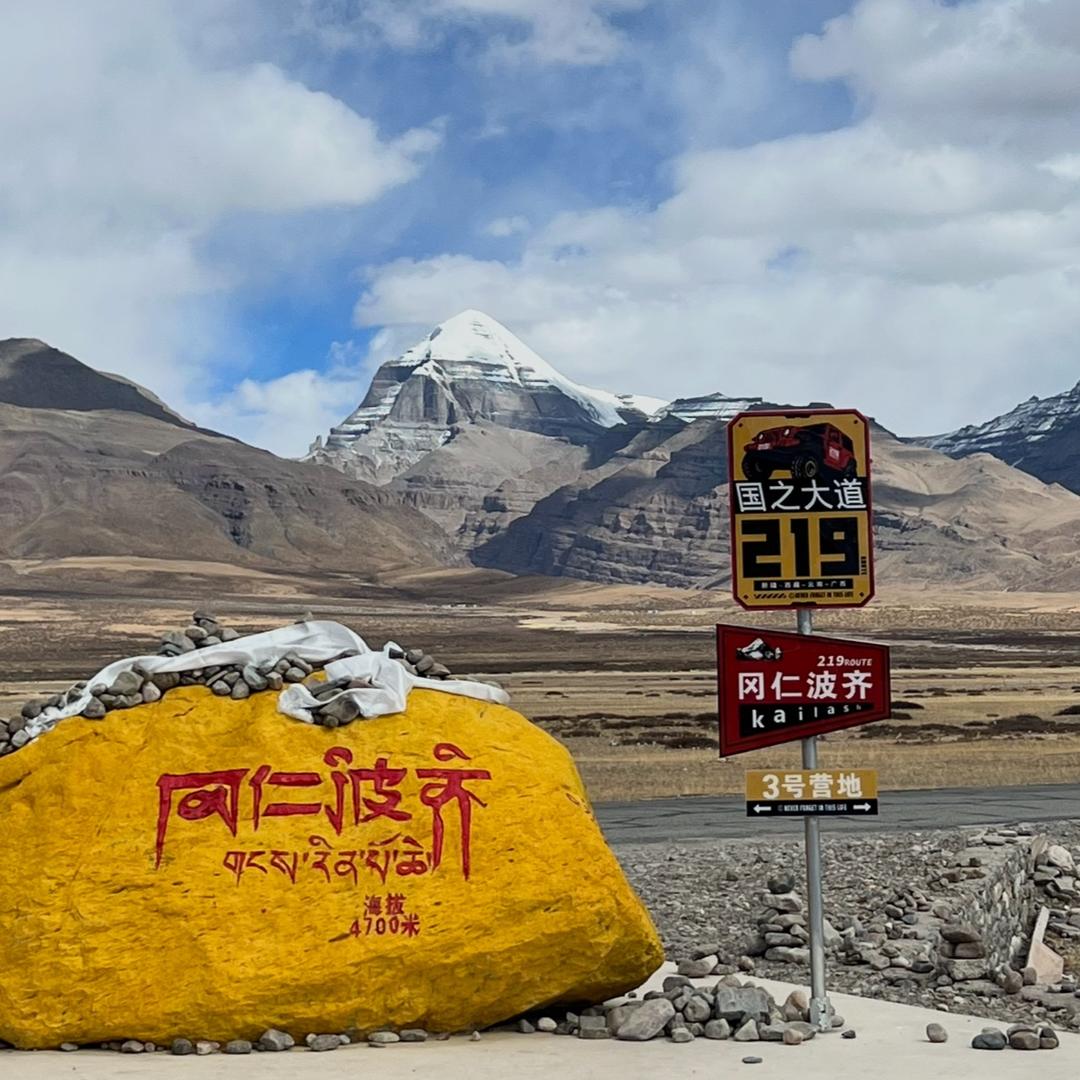 格桑花开  晓姐姐