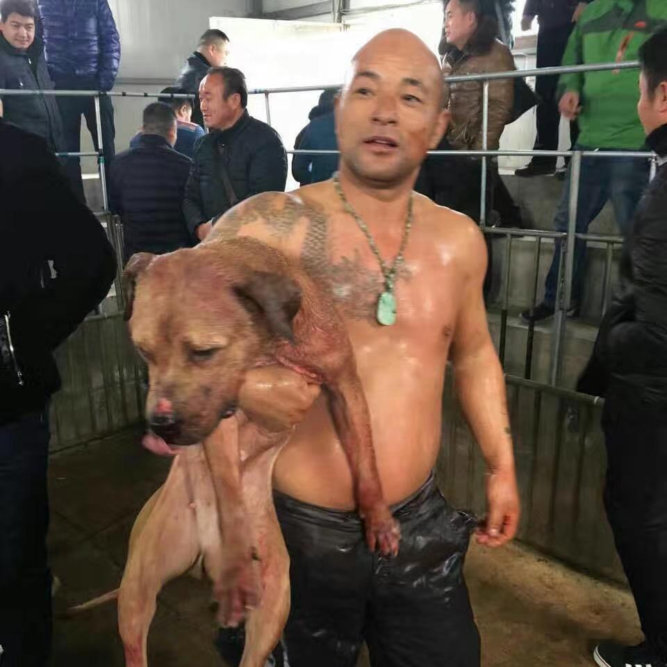 安徽比特虎哥