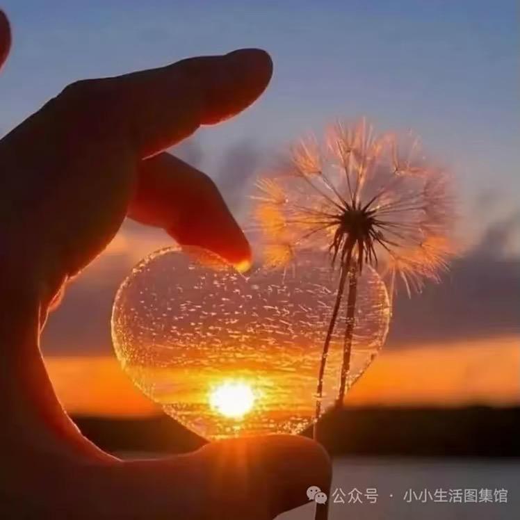 (ღ♡❣️♡ღ)