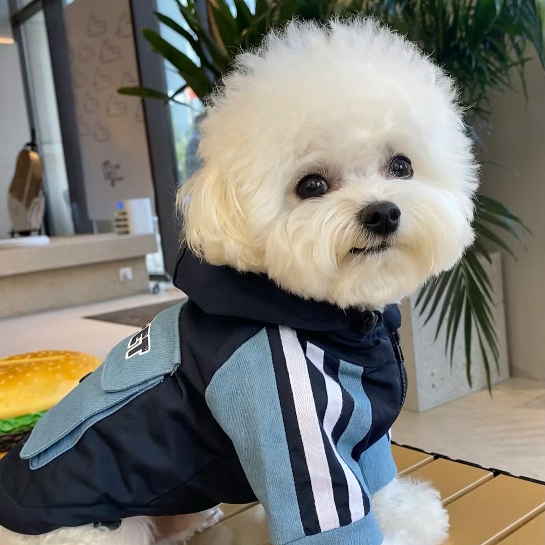 憨憨的毛茸补给站