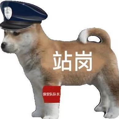 Security guard