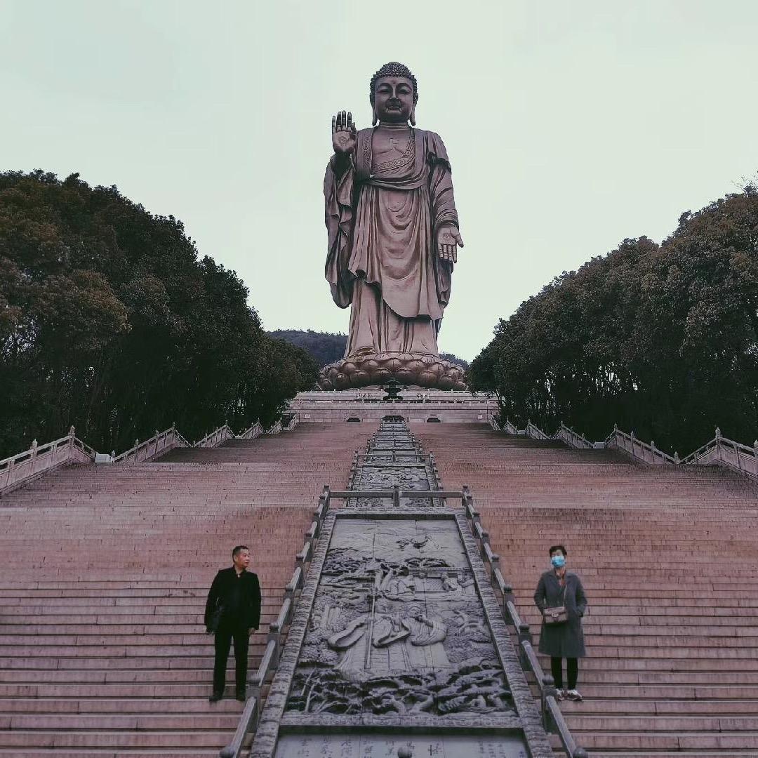 特斯拉喝喝