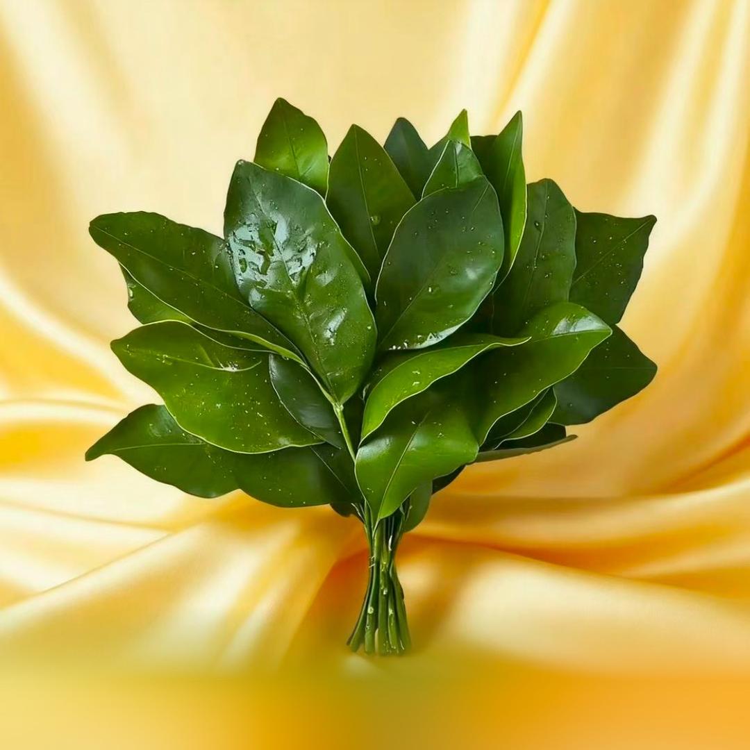 💗᭄余生ᝰᩚ随心ꦿ໌ᮨ💕