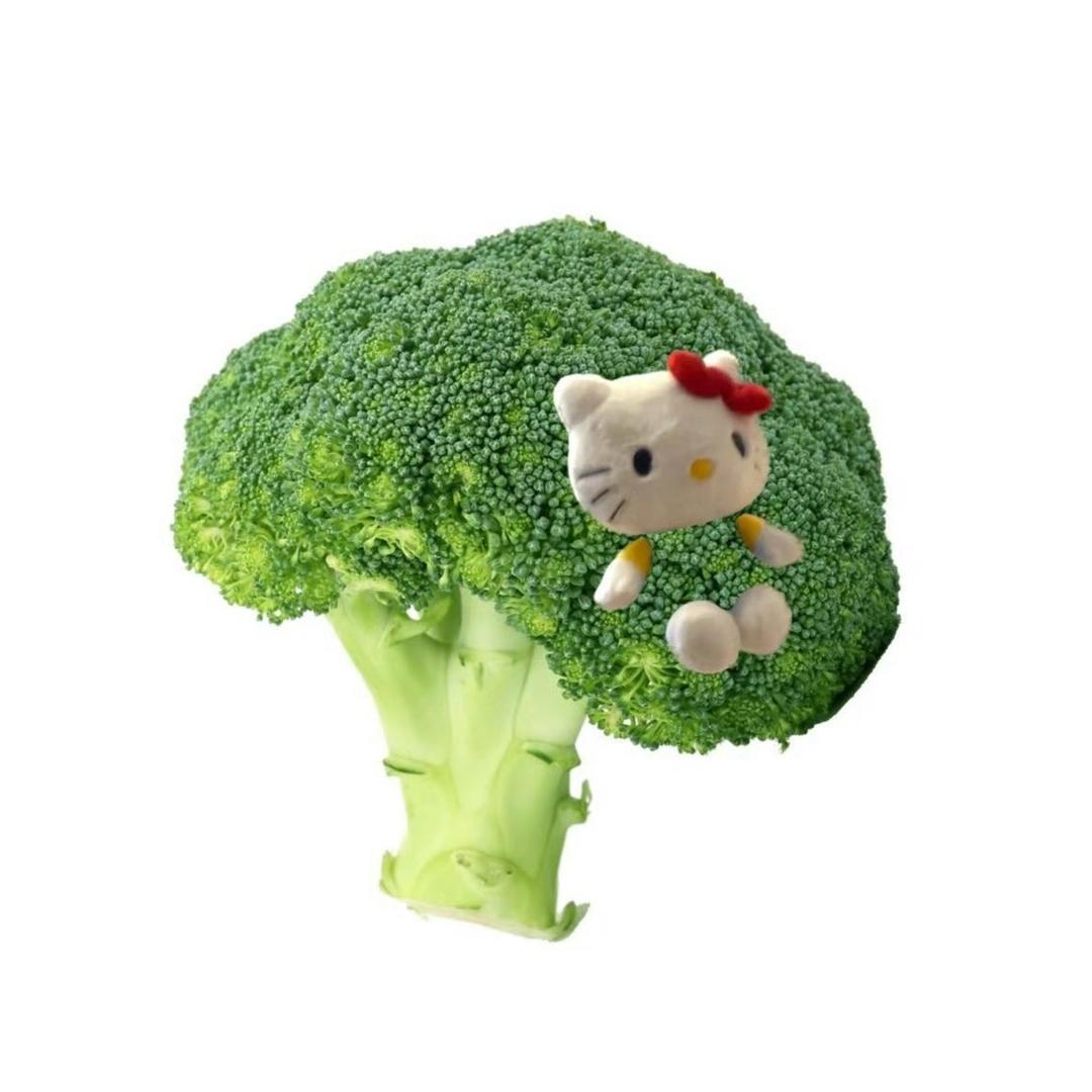 暴躁的西兰花🥦