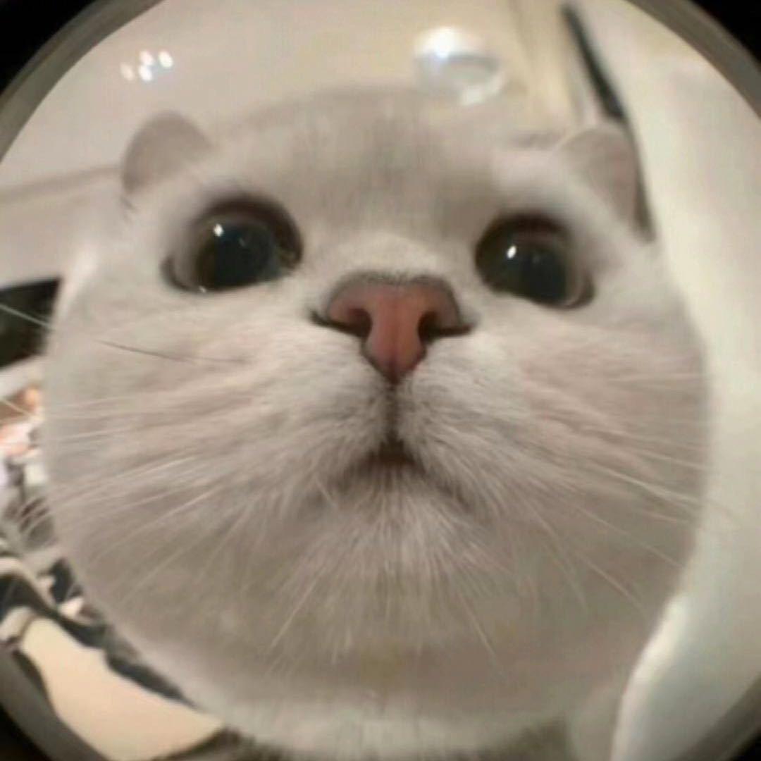 Aaaa建材批发尹总