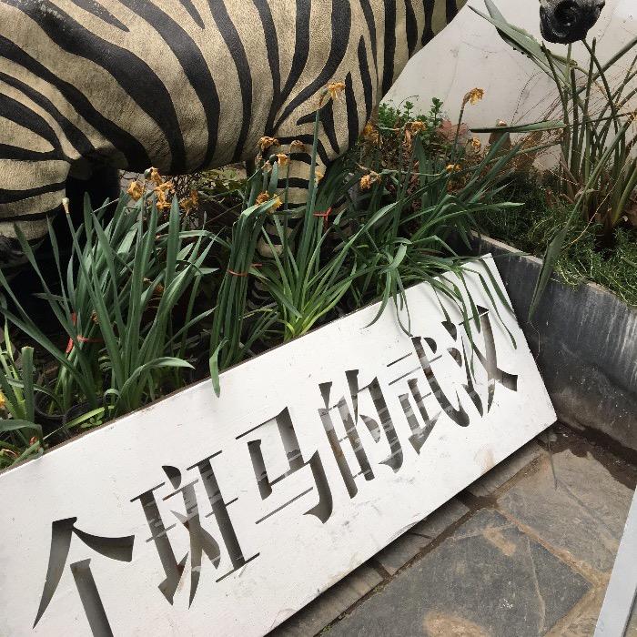 个斑马的武汉