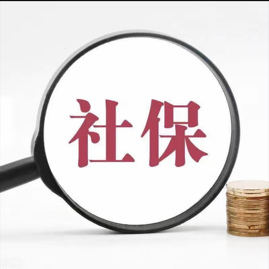社保规划维