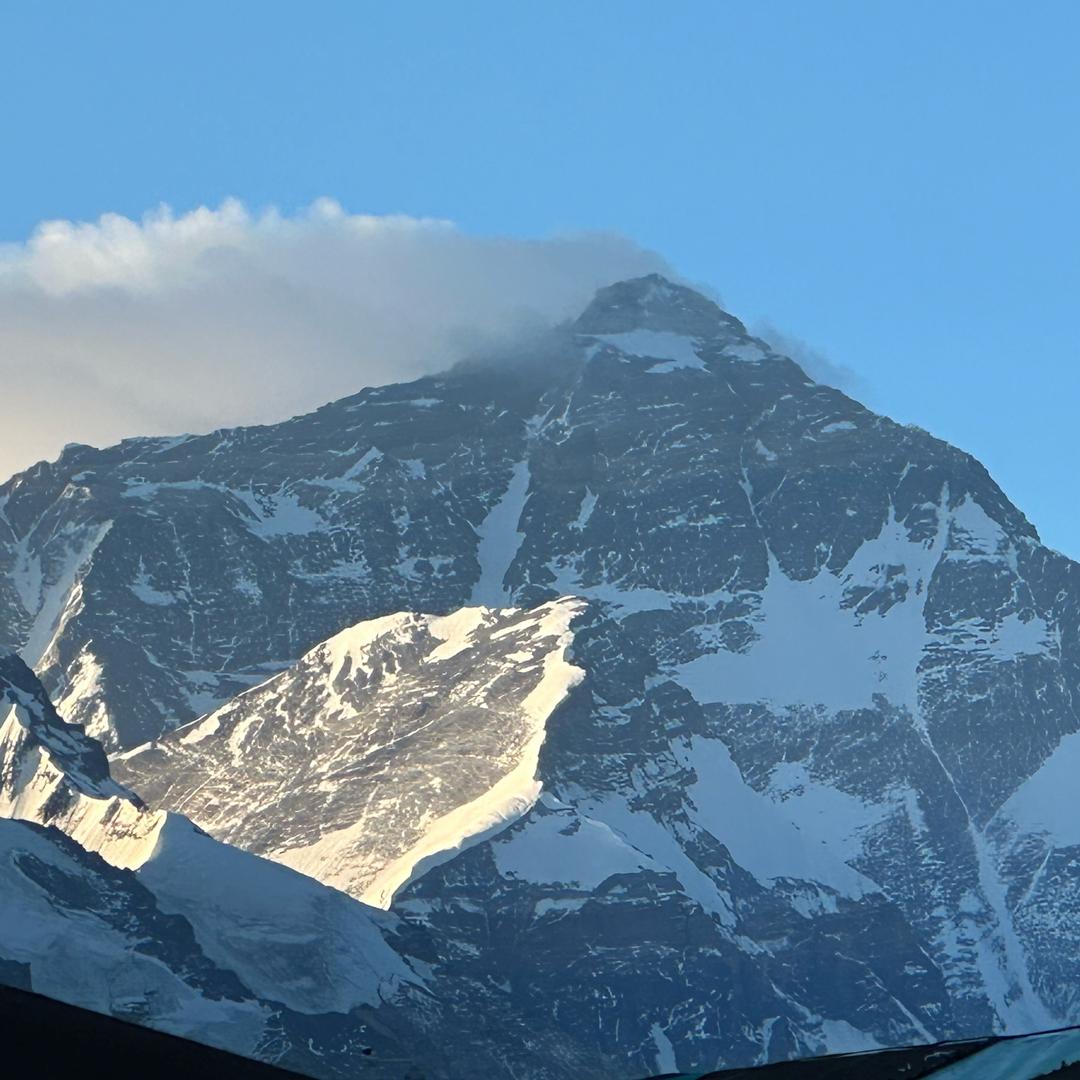 一只特立独行的猪