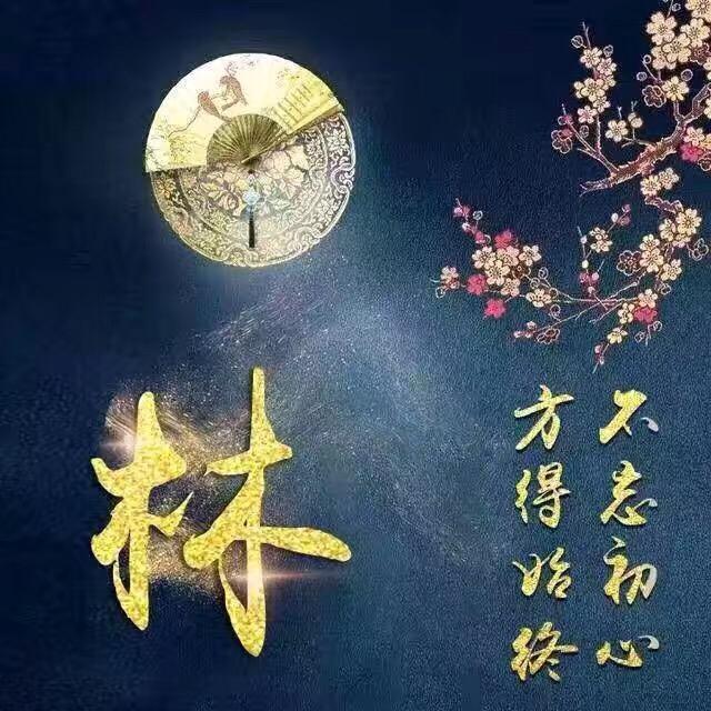 林哥168