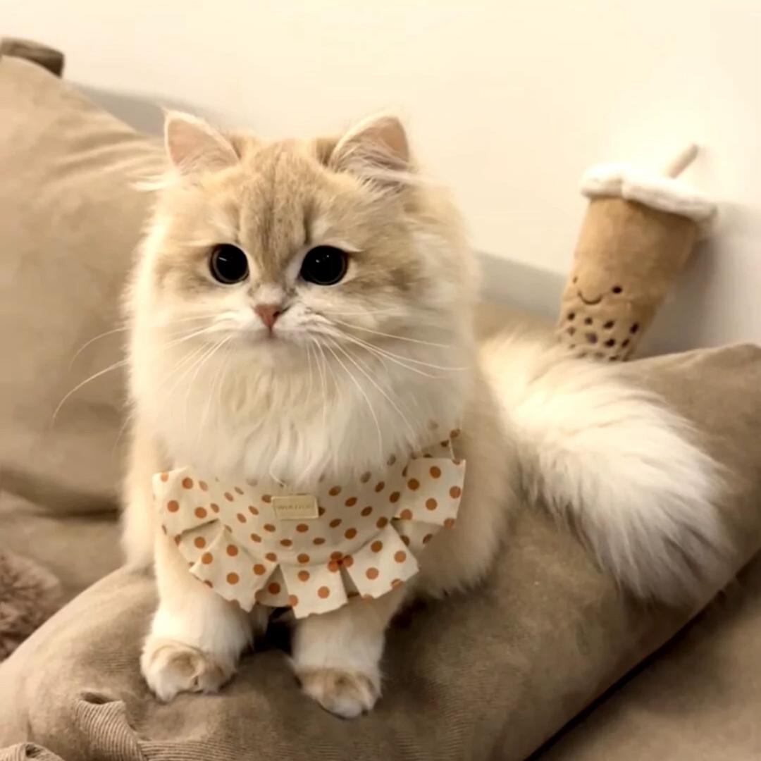 唔～