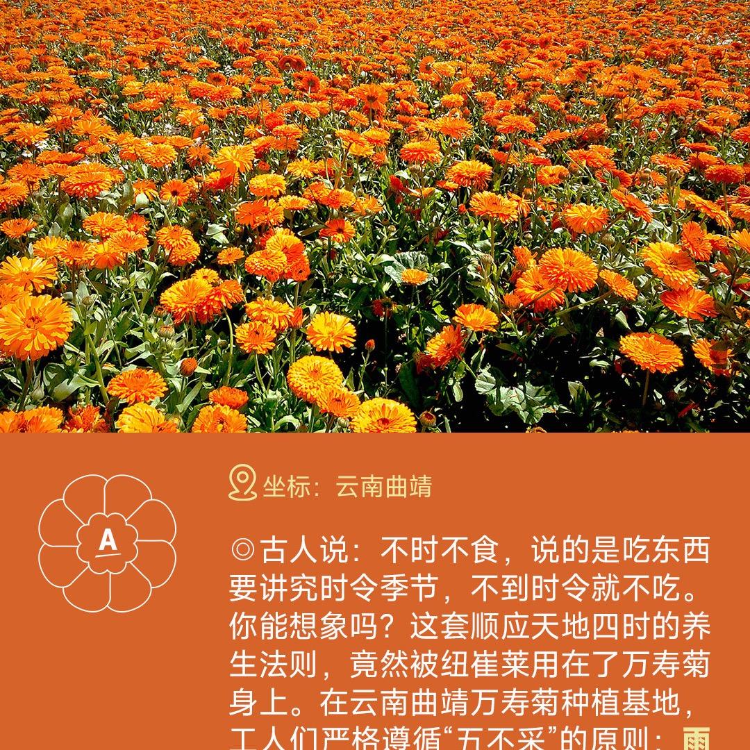 营养师海燕