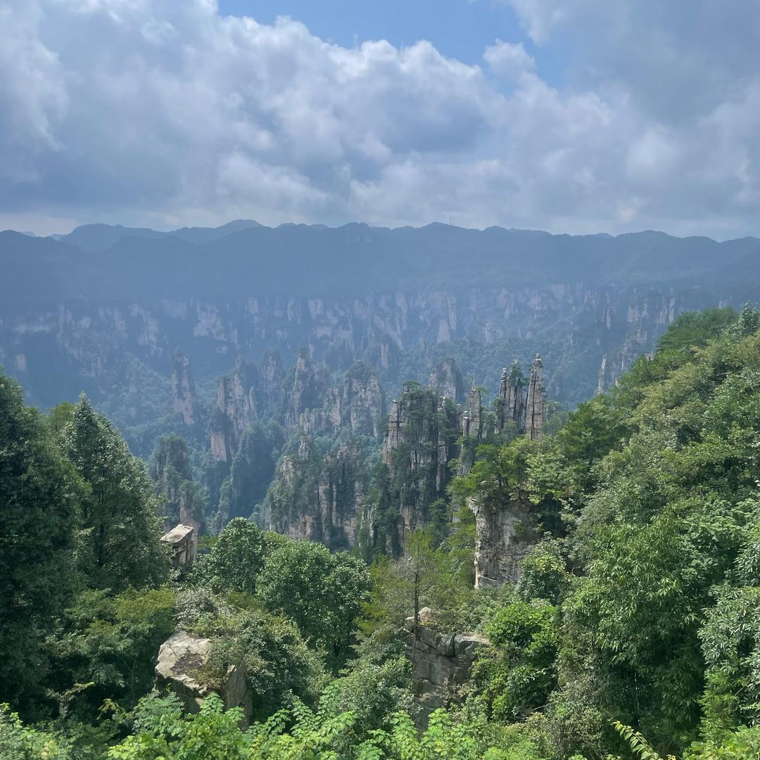 努力提高自己