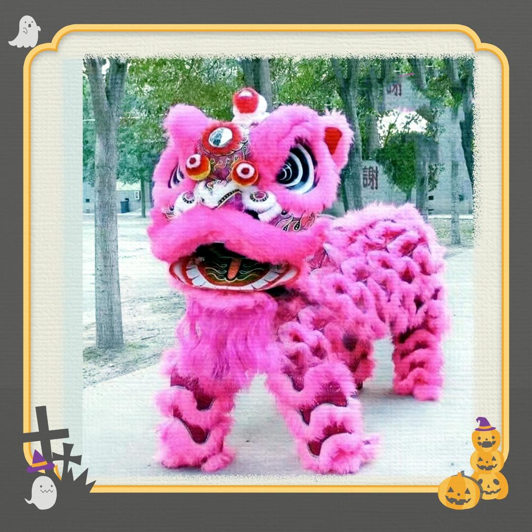 幸福之家8888   🥰（单身）🥰