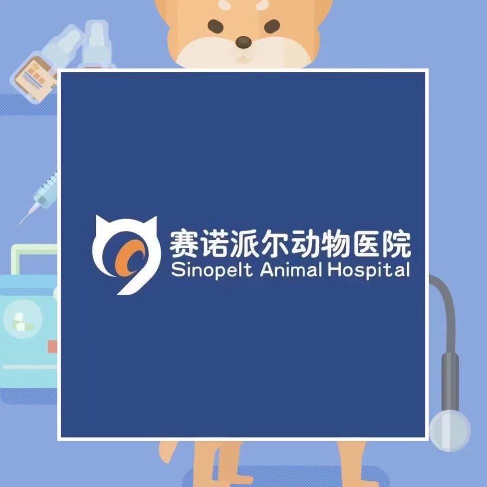 赛诺派尔动物医院小医生👨🏻‍⚕️
