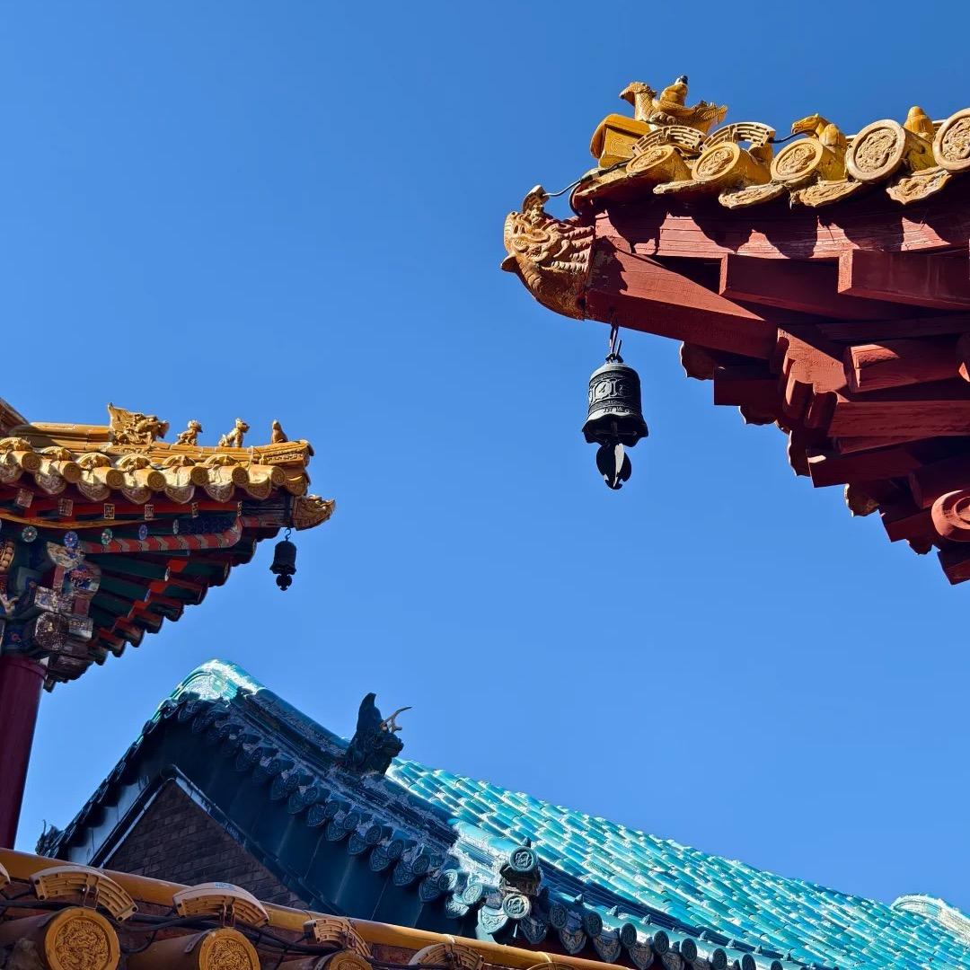 553小玉儿