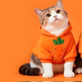 途强官方旗舰店丨宠物专场