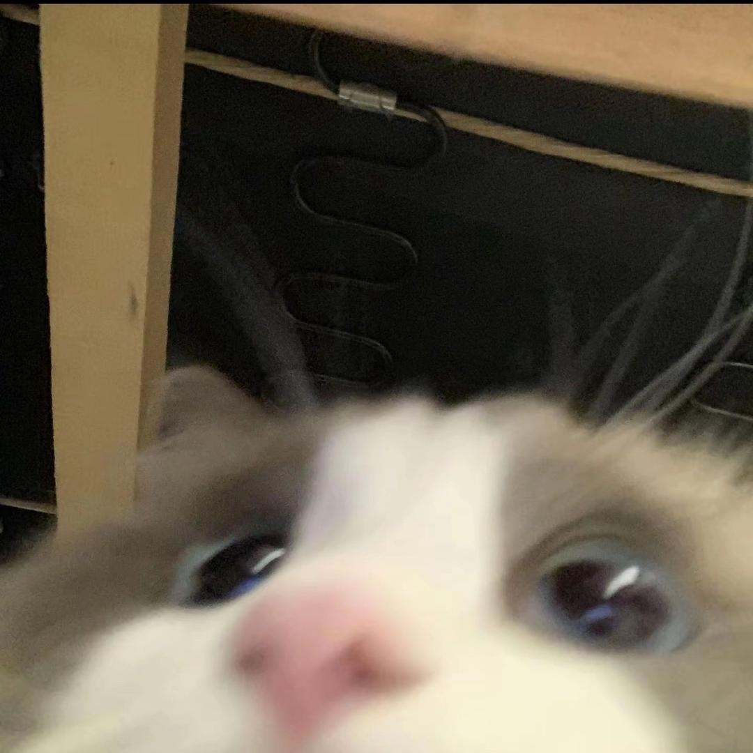 小周爱粥