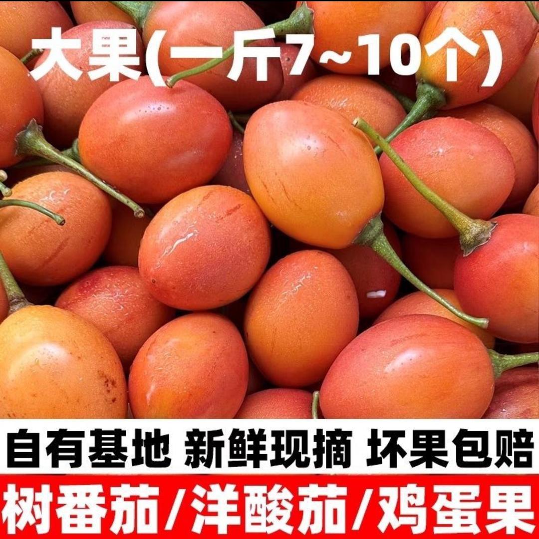 云南万菜蔬果