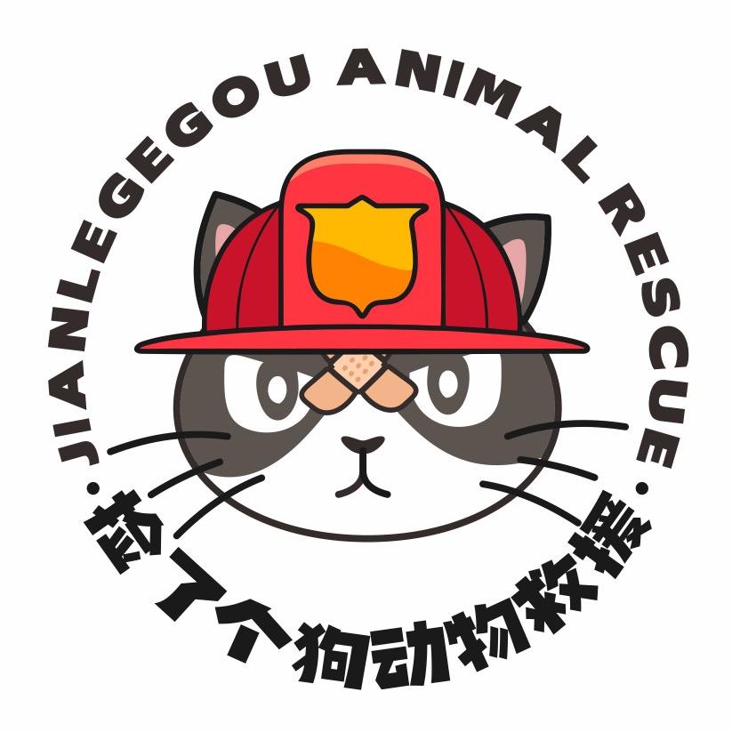 青岛捡了个狗动物救援（穷鬼版）