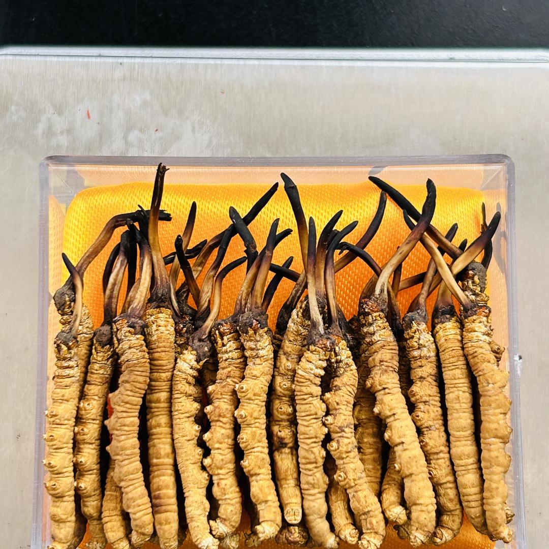 开航穆润滋补养生专卖店