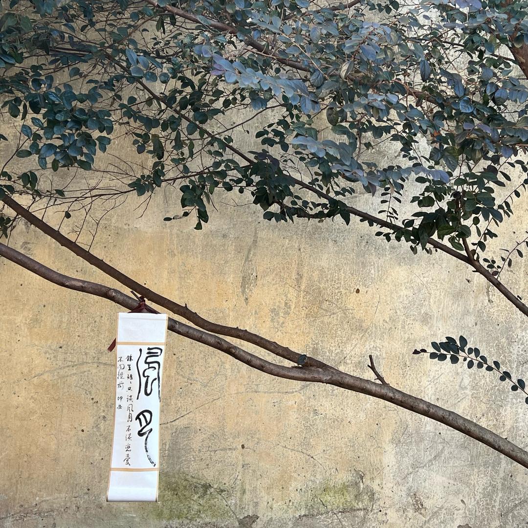 梦境.