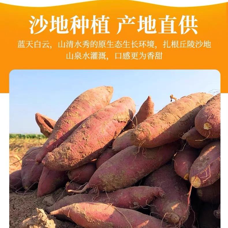 莎莎