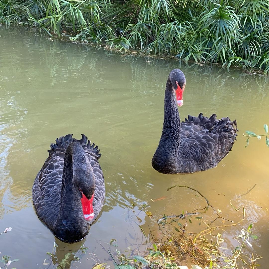 平凡可贵🌹🌹