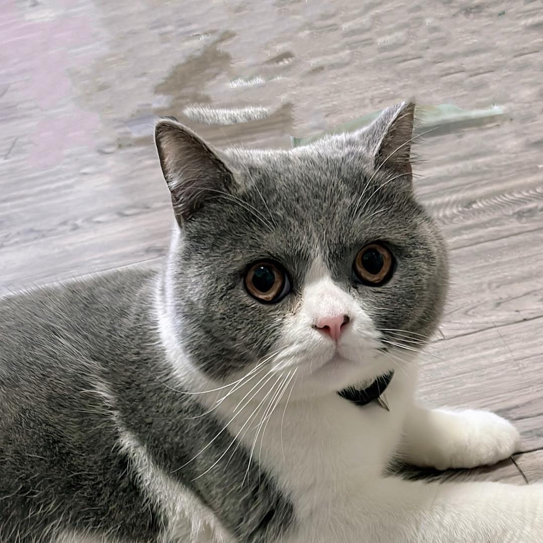 太虚红尘