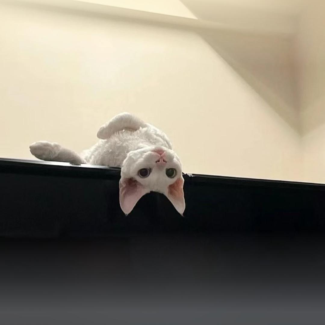 ‘’荔枝气泡水