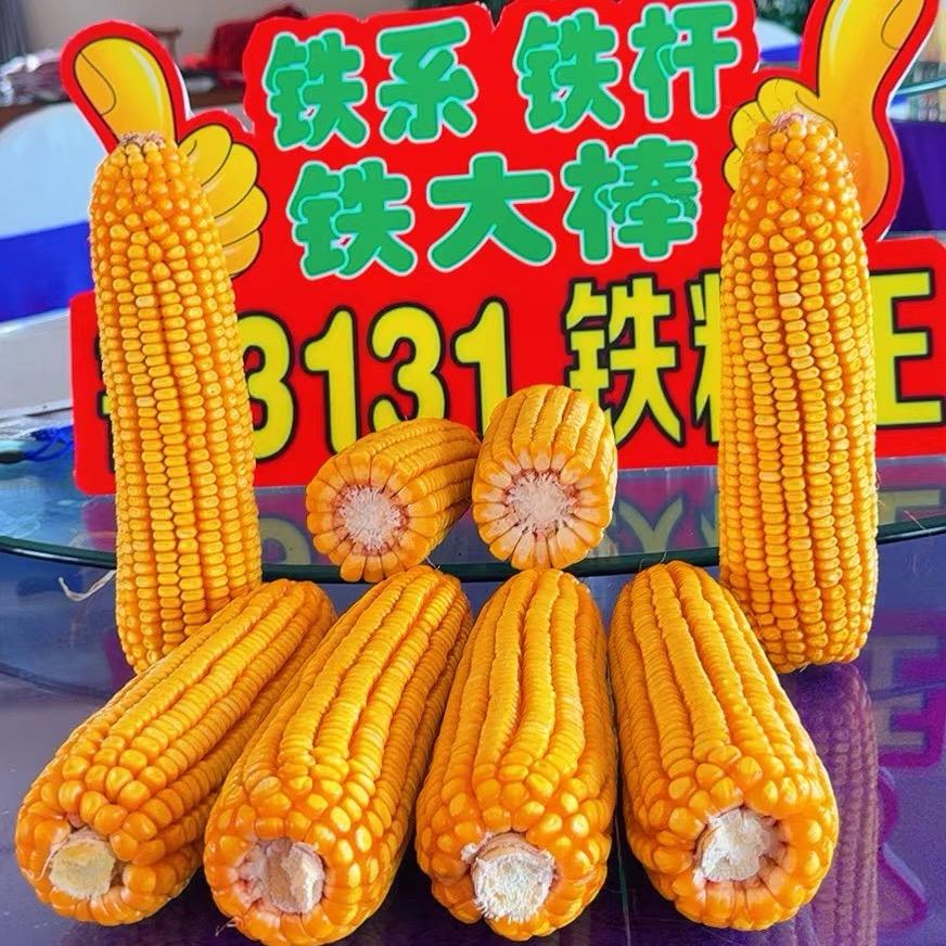 鑫佰顺种子经销处