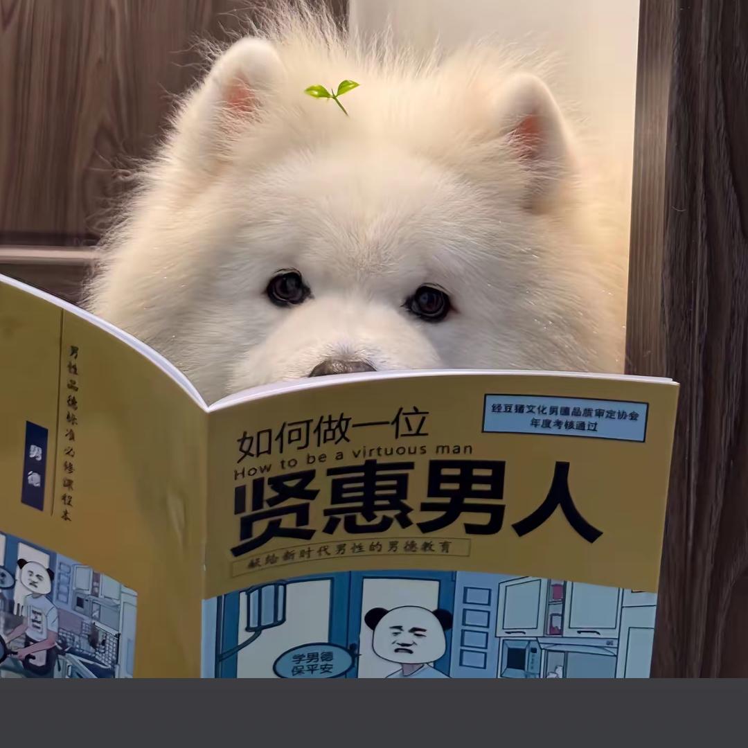 张张～