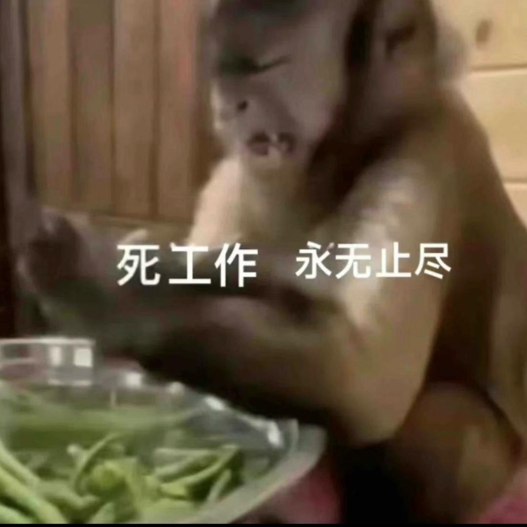 妙蛙种子