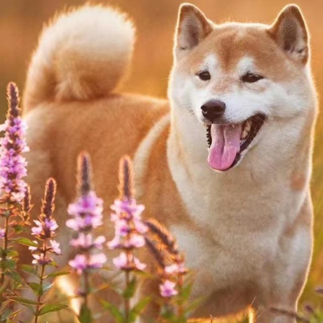 彬