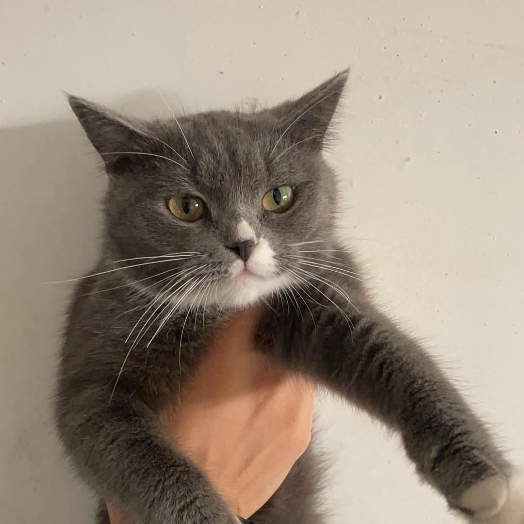 峰慧爱宠创意屋