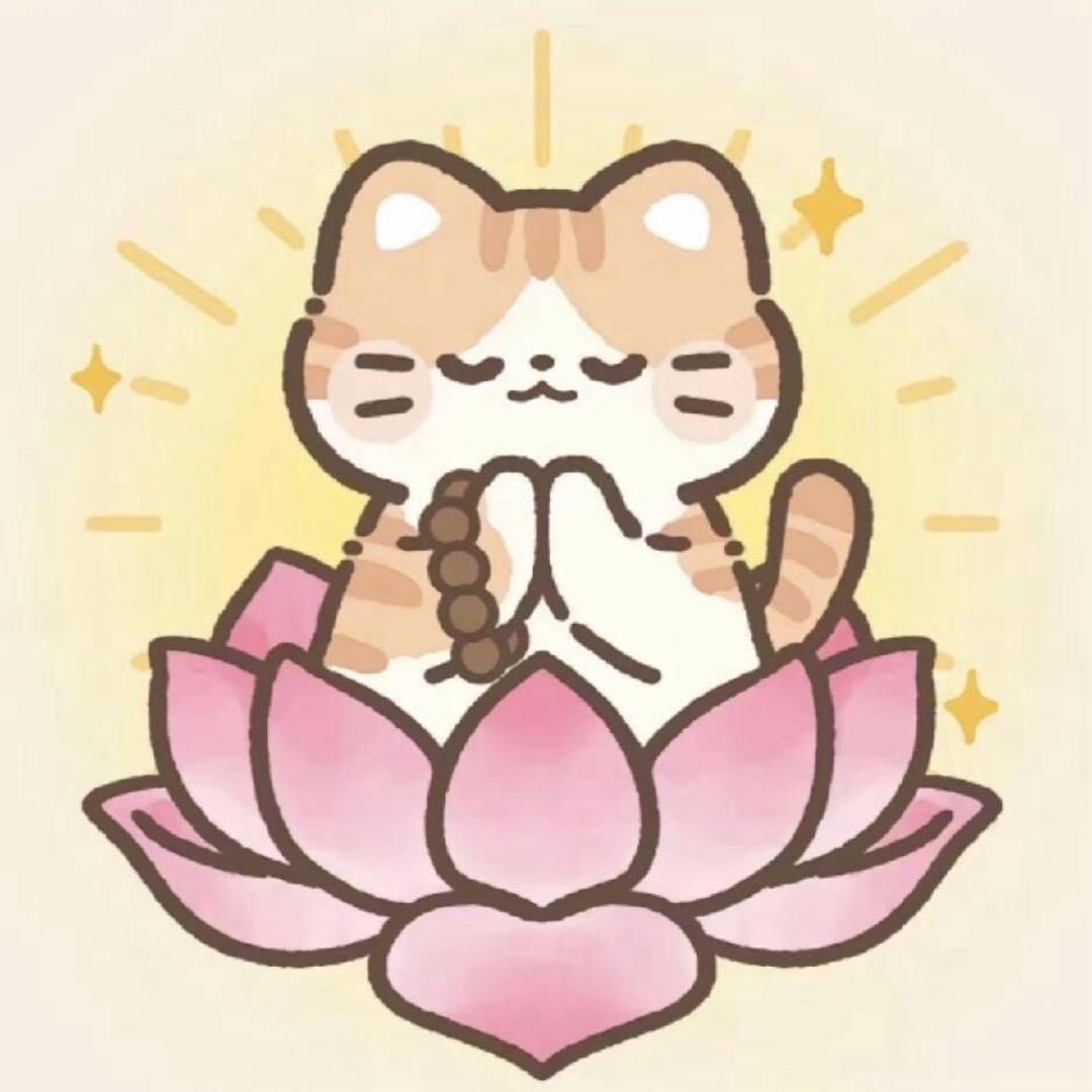 如愿🌅
