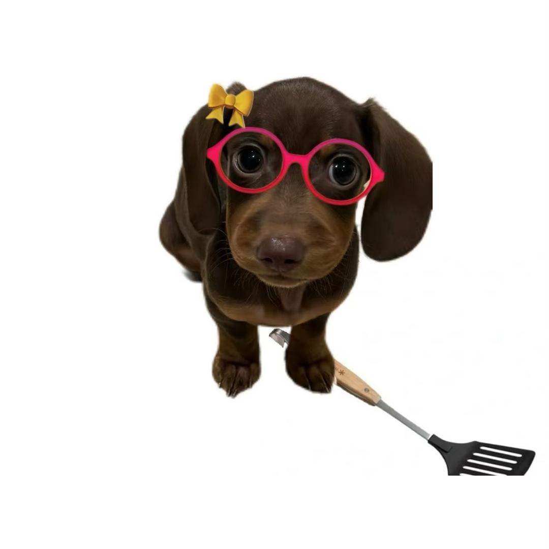 无敌旋风小马宝莉