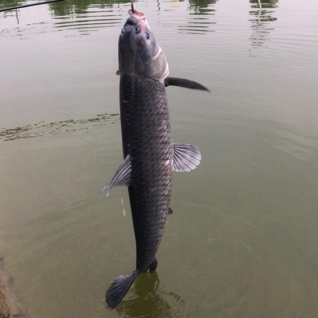 钓点垂钓园🎣