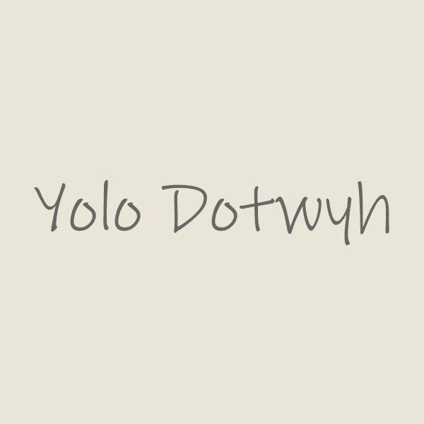 Yolo Dotwyh约洛多特威