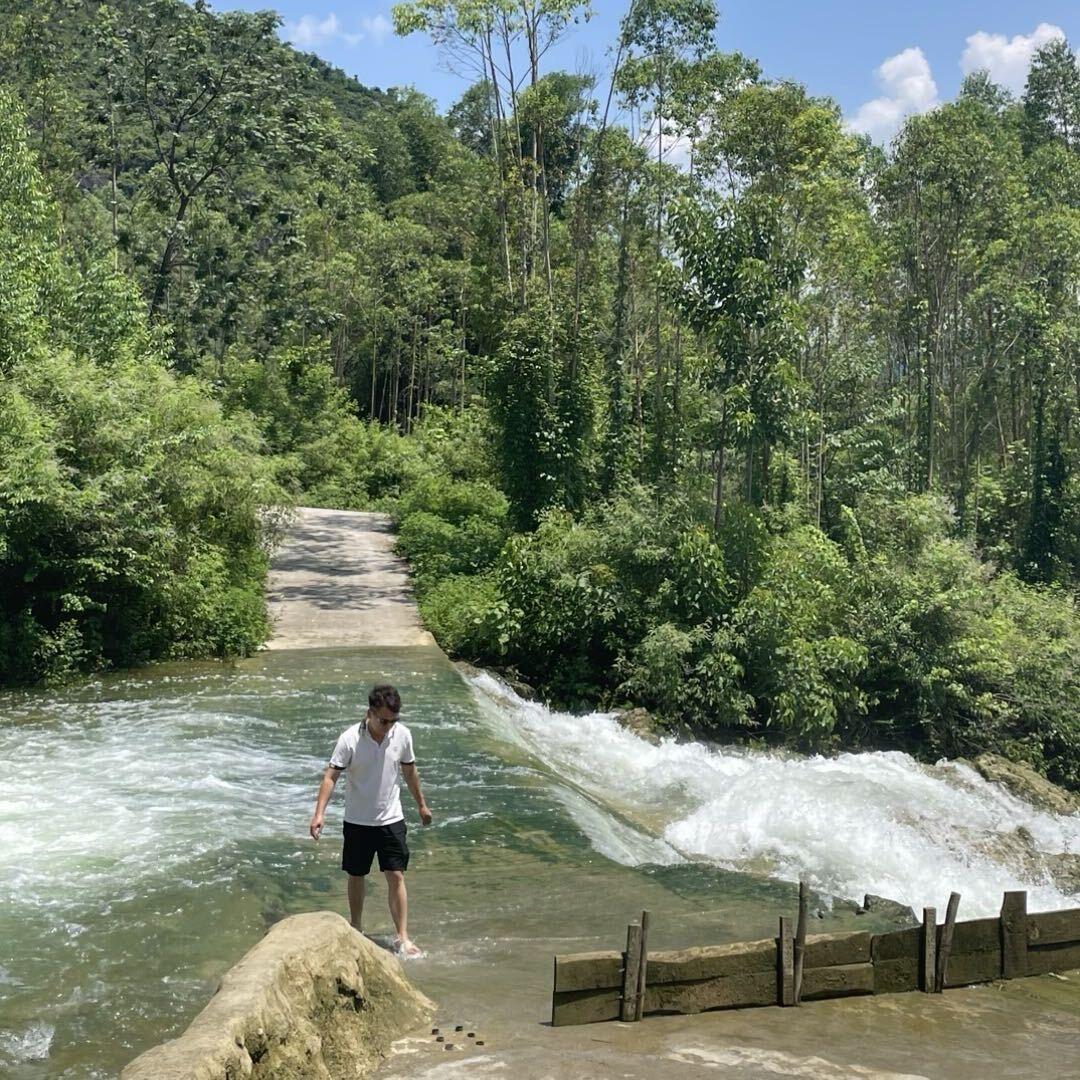 等花落，等风来