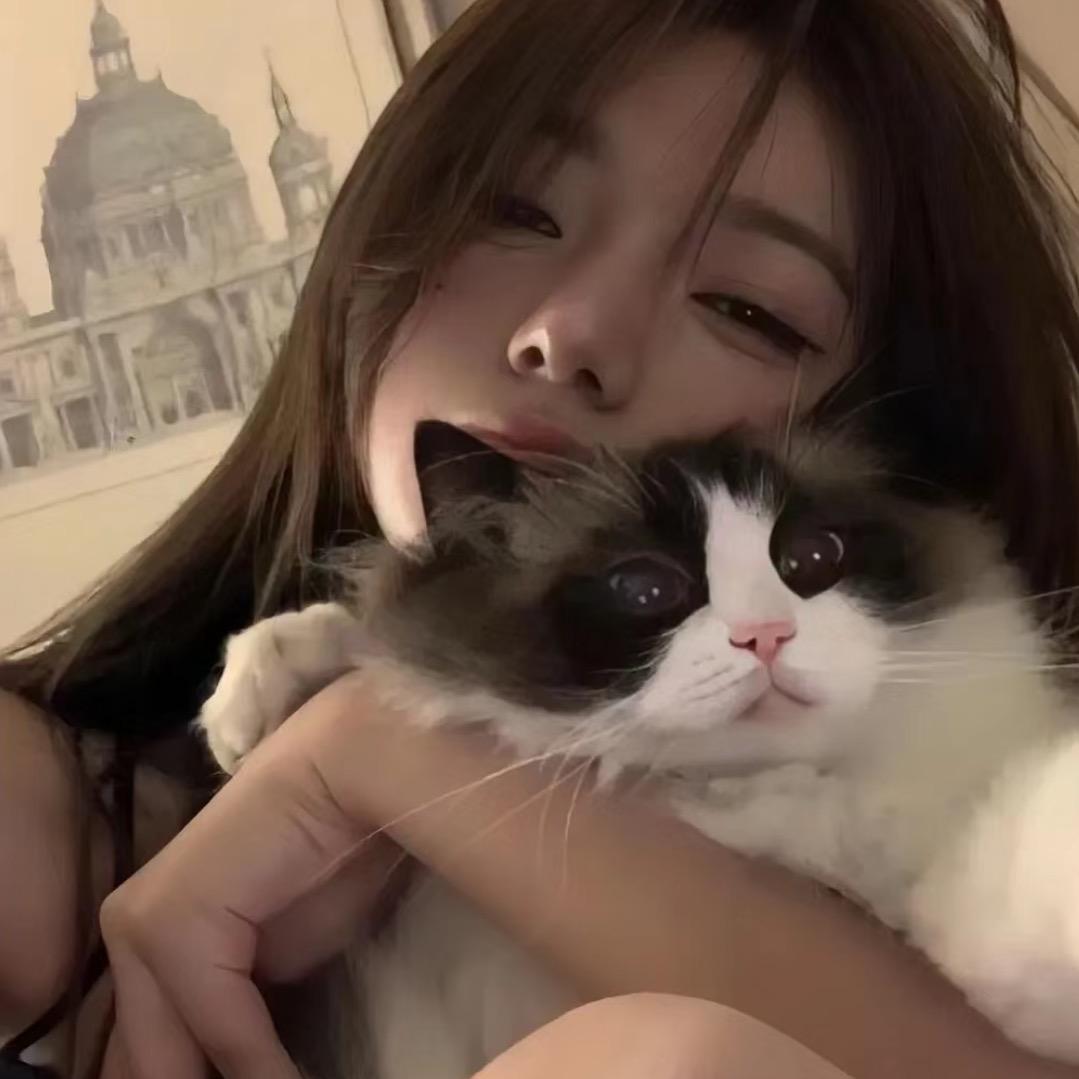 小Chen