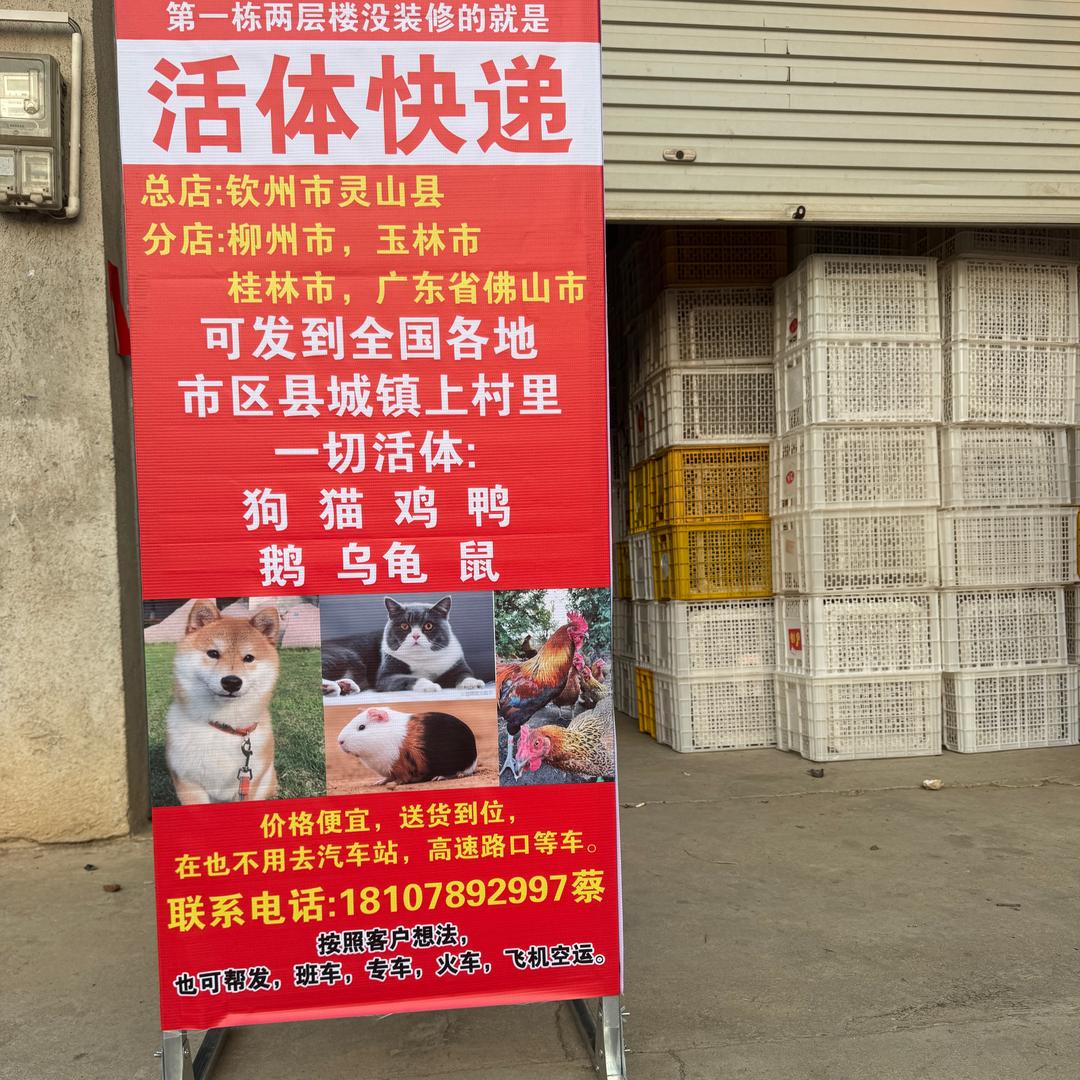 土狗文化（精挑细选）