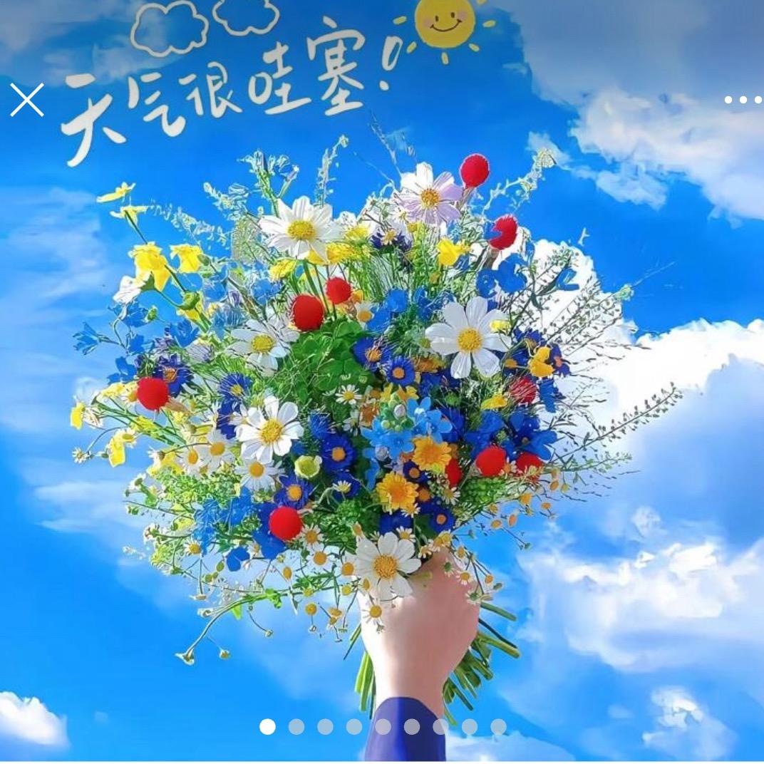 @腌荆芥的小姐姐