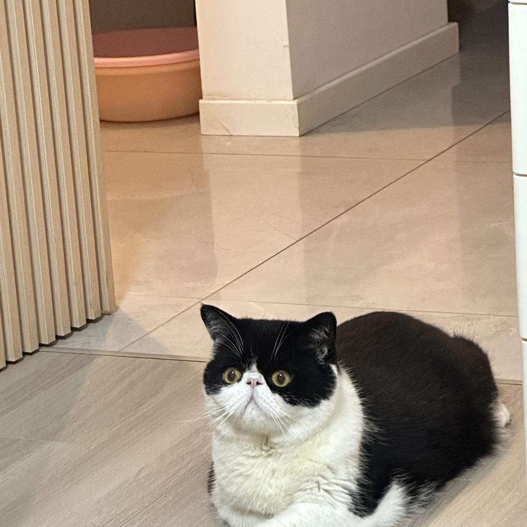 三沐启东-烟火盛宴