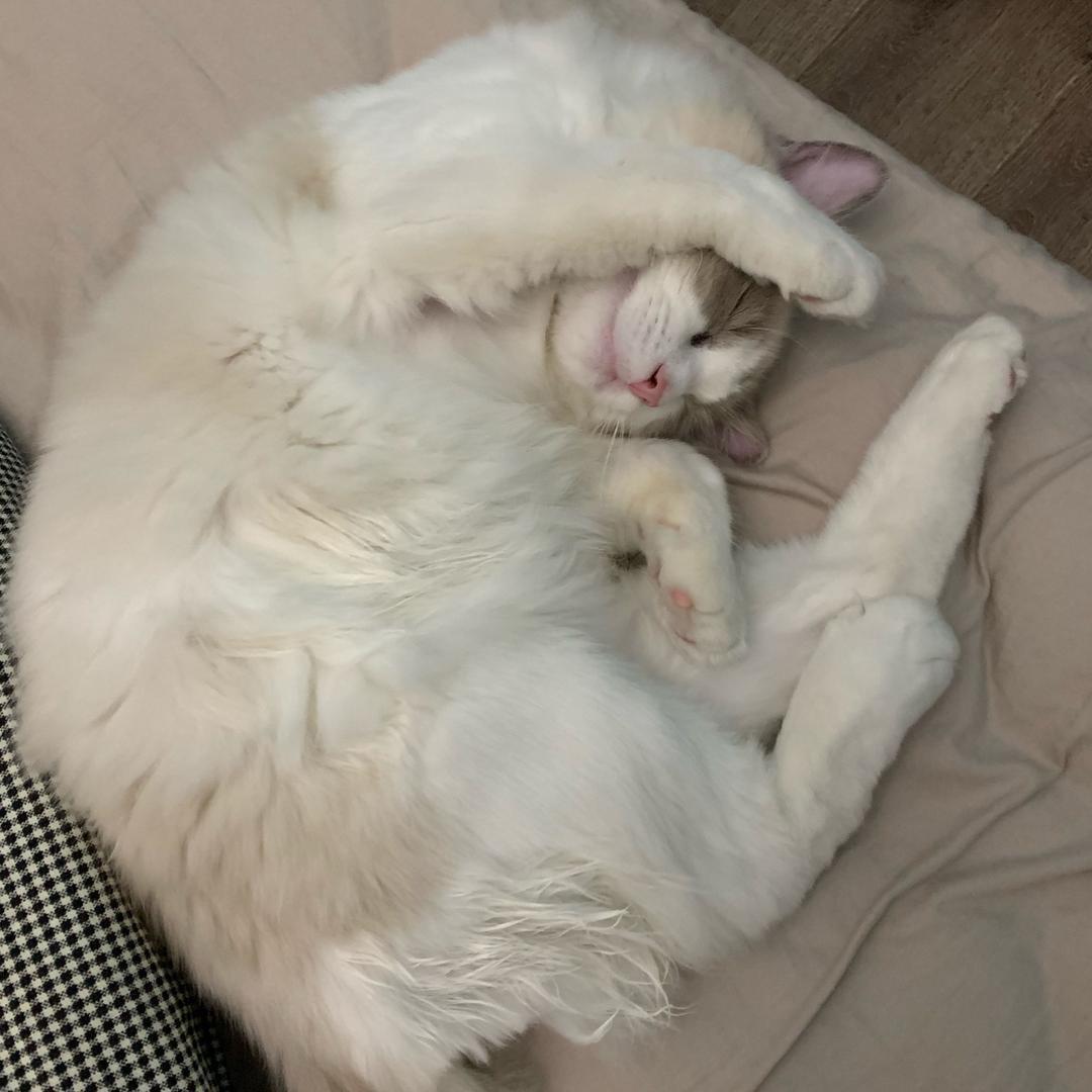 潘滚